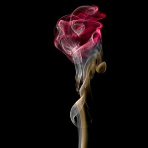 Meet your Posher, Misty